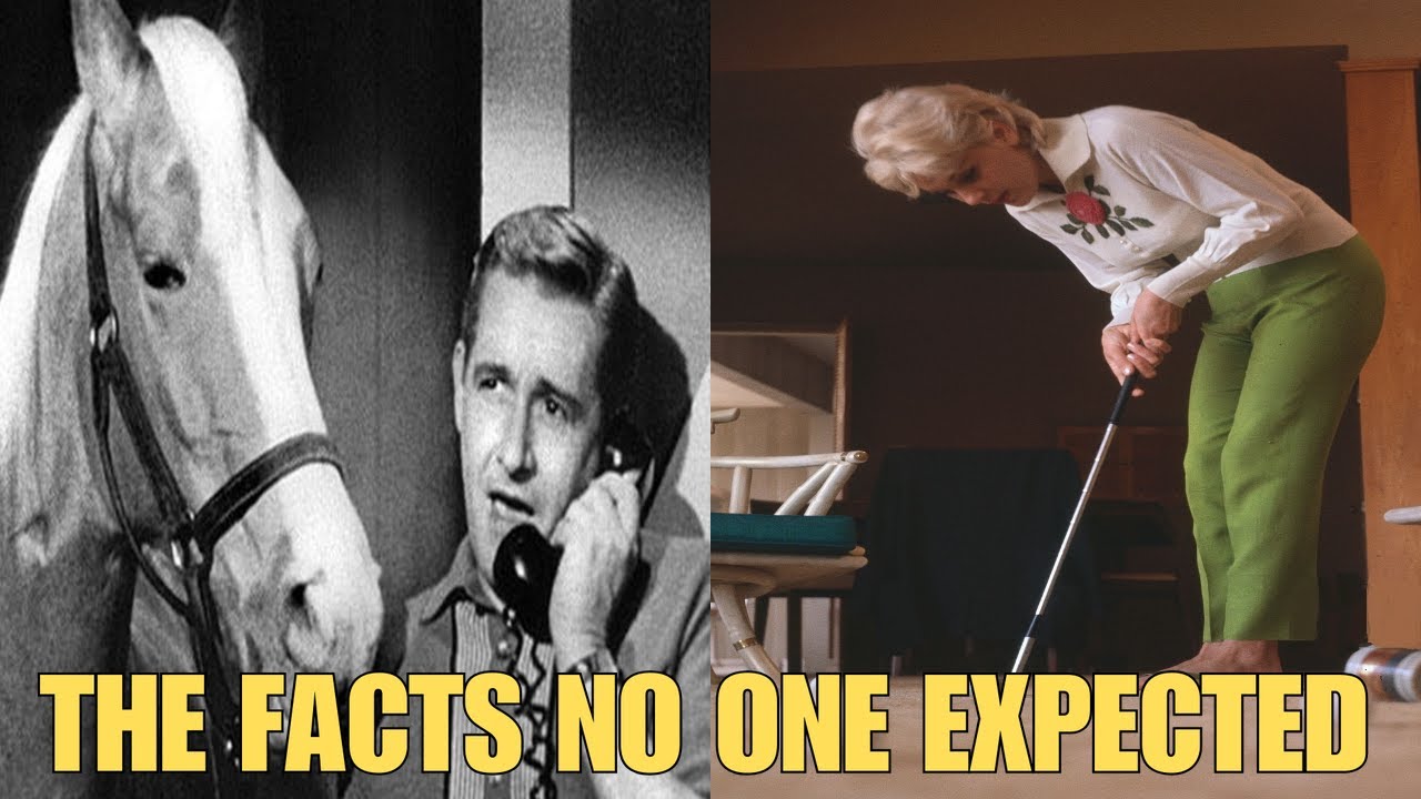 17 Steamy Secrets Of Amp 39 Mister Ed Amp 39 Revealed Youtube 17 Steamy Secrets Of Amp 39 Mister Ed Amp 39 Revealed Youtube