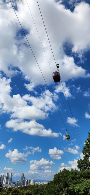 700 Free Perfect Amp Nature Images Pixabay