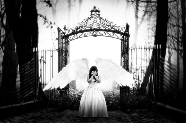 Ericalovelyy Onlyfans Leaked Exclusive Content Revealed