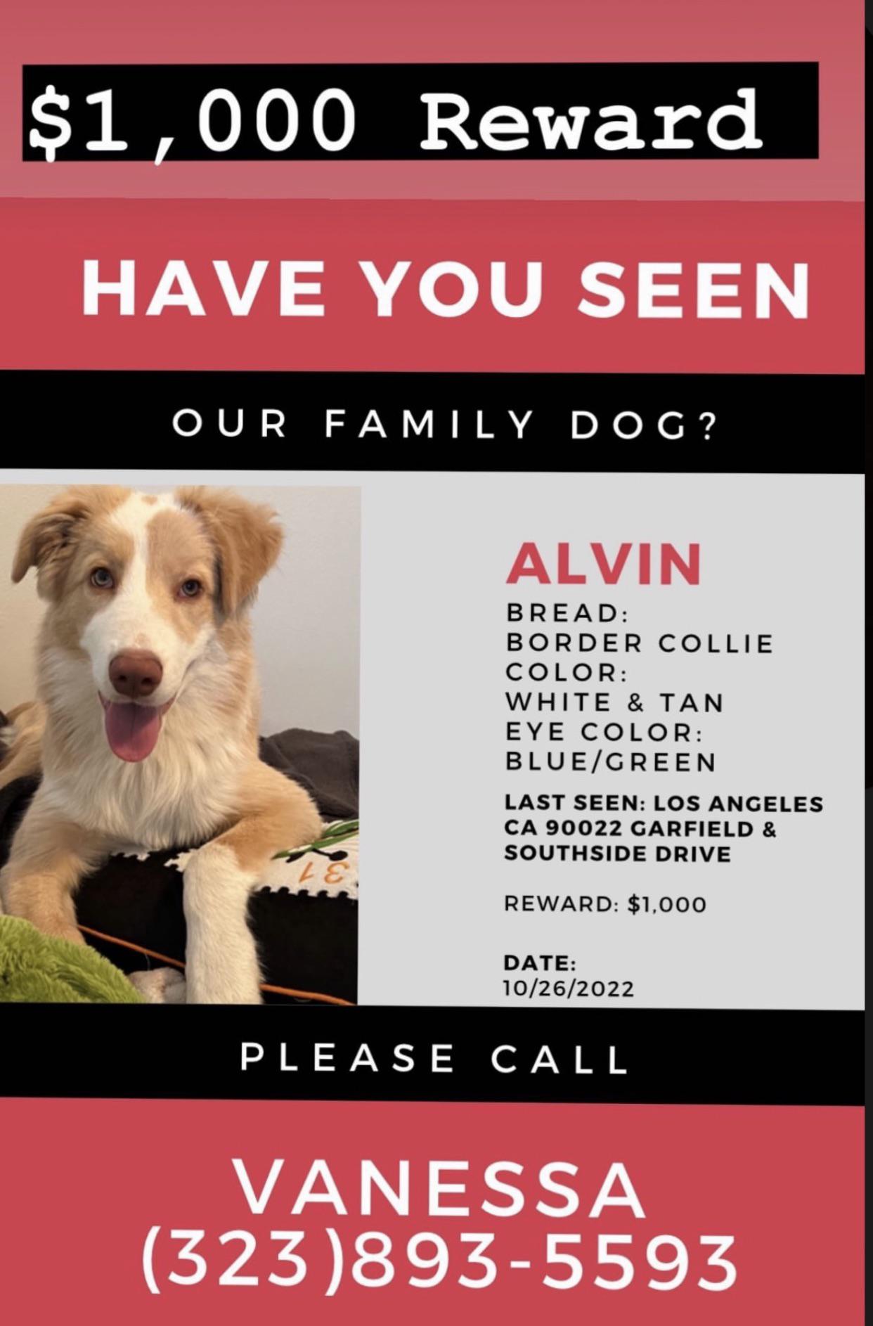 Help Us Find And Connect Profiles For Next Week Amp 39 S Twitterverse Feature Wikitree G2g